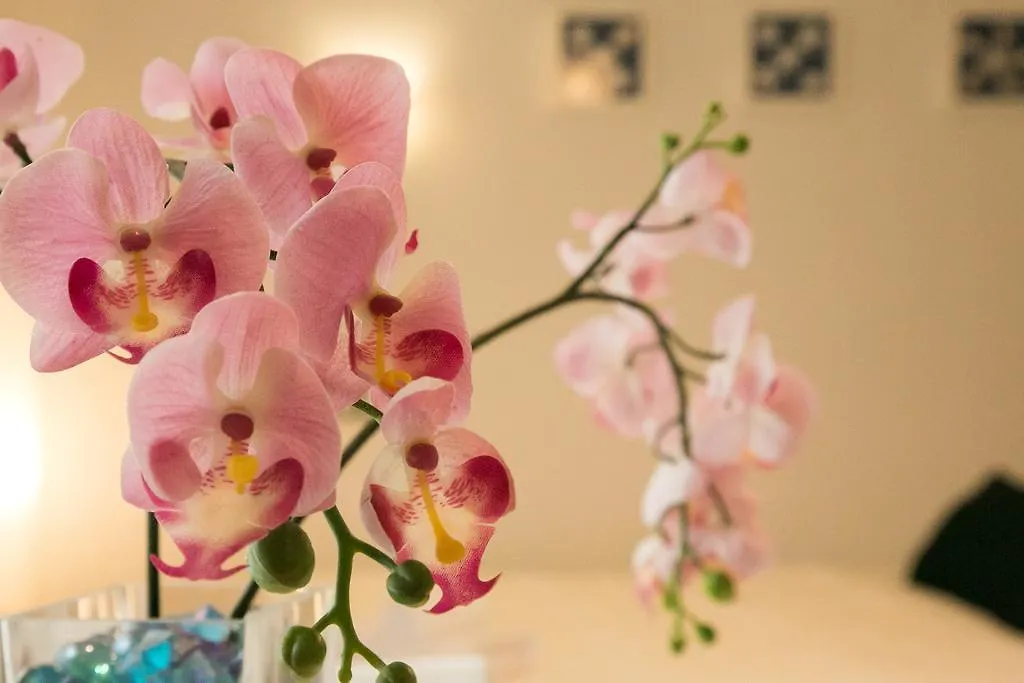 Espacioso Apartamento Jinetes Málaga Appartement